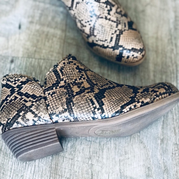 Mata | Shoes | New Mata Python Snakeprint Low Heeled Ankle Bootie ...